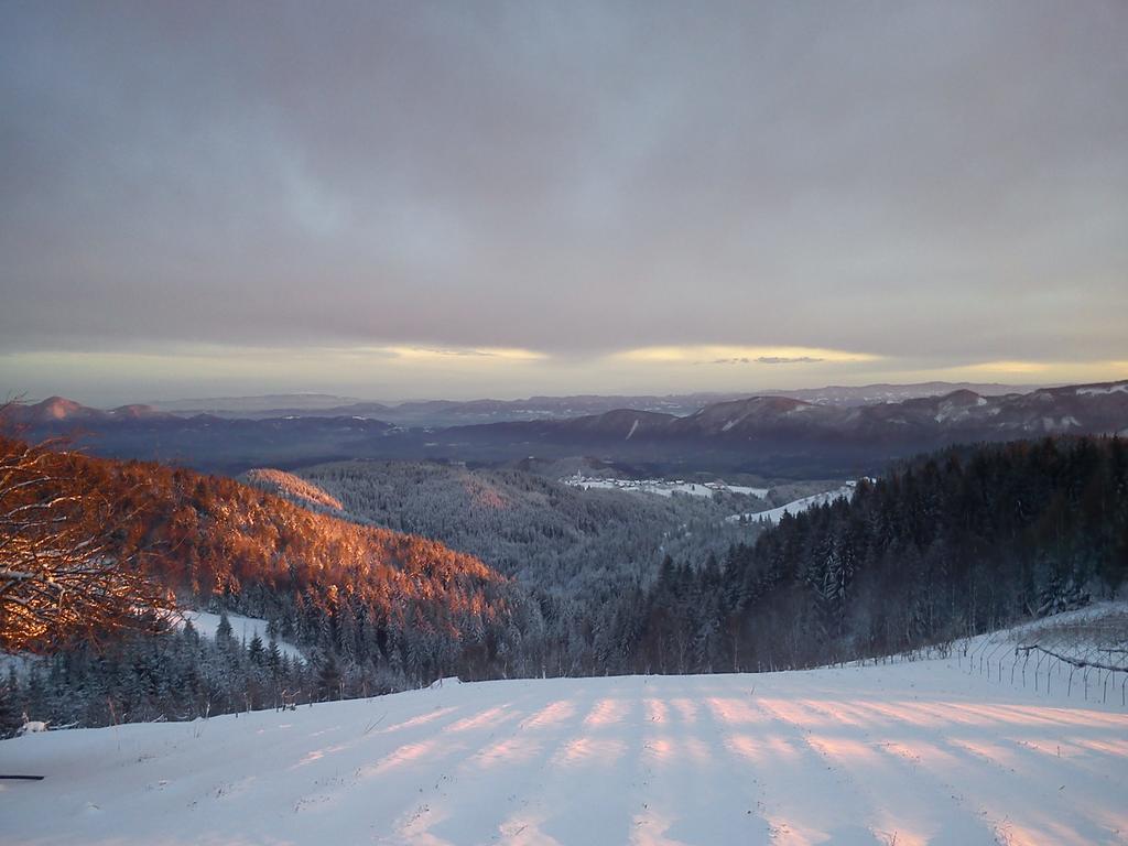 Вилла Tourist Farm Gricnik Resnik Экстерьер фото
